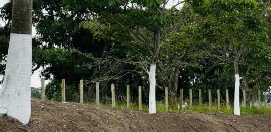 Veneziano anuncia alargamento da Br-104 entre Campina Grande e Lagoa Seca