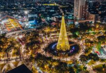 Natal Iluminado: polos do evento registram recorde de público na véspera e no dia de Natal