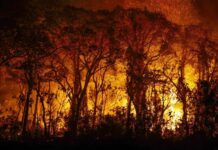 Aviões militares iniciam combate a focos de incêndio no Amazonas
