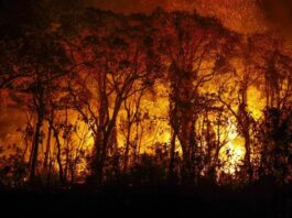 Aviões militares iniciam combate a focos de incêndio no Amazonas