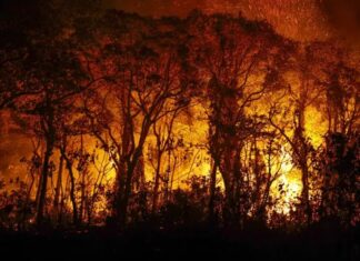 Aviões militares iniciam combate a focos de incêndio no Amazonas