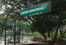 Prefeitura de Campina Grande inaugura primeiro Jardim Sensorial da Paraíba