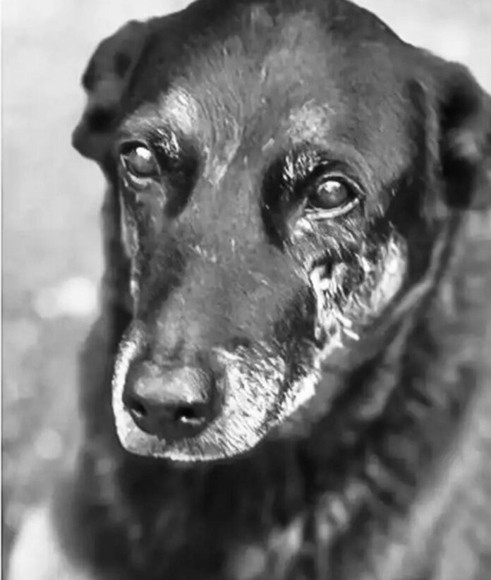 apetorejfbddkoubbvddhjhnbgh7f55f10d-6e36-4088-8a7d-44c23ff6e371