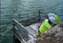 Sesuma faz revitalização em áreas do Açude Velho e pede colaboração da população