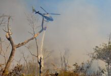 Forças Armadas lançam um milhão de litros de água na região do Pantanal