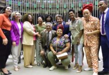 Câmara dos Deputados aprova criação da bancada negra