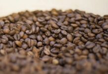 Café brasileiro exporta menos que há um ano, mas receita cambial é maior