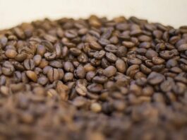 Café brasileiro exporta menos que há um ano, mas receita cambial é maior