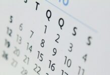 Novembro terá três feriados nacionais este ano