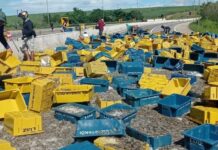 Caminhão carregado com camarão tomba e interdita trecho da BR-101 entre João Pessoa e Natal