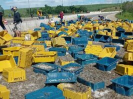 Caminhão carregado com camarão tomba e interdita trecho da BR-101 entre João Pessoa e Natal