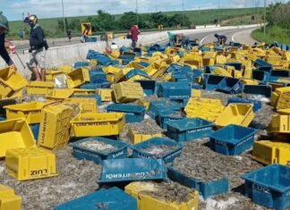 Caminhão carregado com camarão tomba e interdita trecho da BR-101 entre João Pessoa e Natal