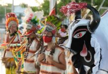 Prefeitura divulga programação do Campina Folia e Carnaval Tradição; confira