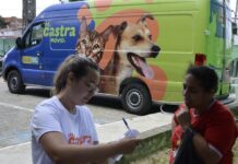 Castramóvel do Centro de Zoonoses inicia atendimento no Bairro da Liberdade a partir da próxima segunda-feira