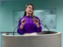 Todos por elas: Projeto de Carol Gomes incentiva ações práticas dos vereadores na conscientização e combate à violência contra a mulher