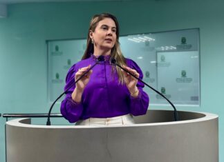 Todos por elas: Projeto de Carol Gomes incentiva ações práticas dos vereadores na conscientização e combate à violência contra a mulher