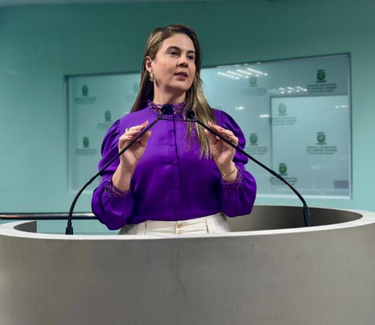 Todos por elas: Projeto de Carol Gomes incentiva ações práticas dos vereadores na conscientização e combate à violência contra a mulher