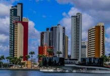 Campina Grande é novamente reconhecida com o “Selo Tree Cities of the World” e reforça compromisso com a sustentabilidade