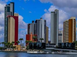 Campina Grande é novamente reconhecida com o “Selo Tree Cities of the World” e reforça compromisso com a sustentabilidade