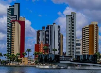 Campina Grande é novamente reconhecida com o “Selo Tree Cities of the World” e reforça compromisso com a sustentabilidade