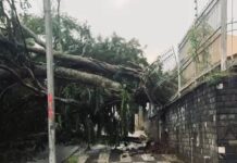 Defesa Civil de Campina Grande emite boletim sobre ocorrências após chuvas e ventos fortes na cidade