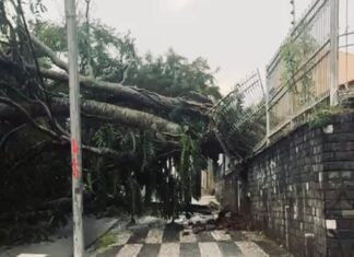 Defesa Civil de Campina Grande emite boletim sobre ocorrências após chuvas e ventos fortes na cidade