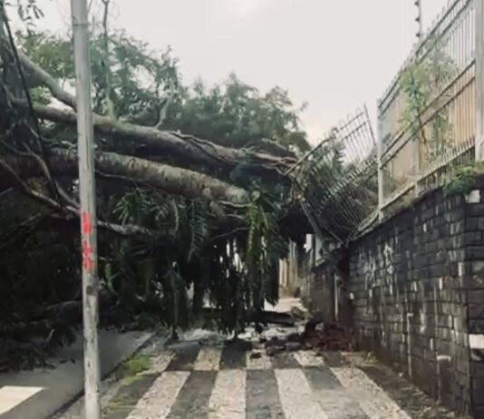 Defesa Civil de Campina Grande emite boletim sobre ocorrências após chuvas e ventos fortes na cidade