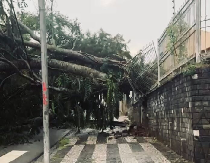 cgpbIMG-20260322-WA0036