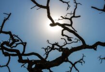 Setembro começa com forte onda de calor em todo o Brasil, alerta INMET