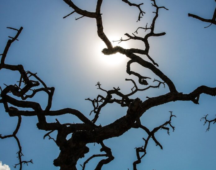 climclimaimg_6343 - Copia