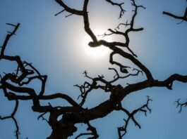 Verão 2025/2026 começa em dezembro com calor intenso e chuvas frequentes