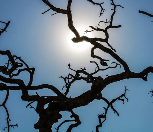 Verão 2025/2026 começa em dezembro com calor intenso e chuvas frequentes