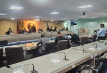 Comissões da Câmara de Campina Grande auxiliaram na fiscalização e no trabalho legislativo