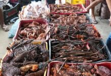 Guarda de João Pessoa e Polícia Civil apreendem quase uma tonelada de cobre e prende dois suspeitos