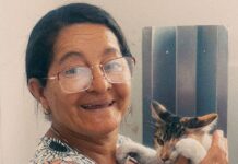 Mutirão de Castração no CCZ de Campina Grande atende mais de 80 felinos