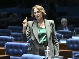 Senado reconhece estágio como experiência profissional