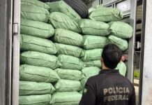 Mais de 500 kg de maconha são apreendidos durante ação da Polícia Federal no Sertão
