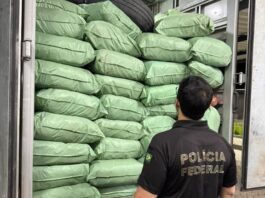 Mais de 500 kg de maconha são apreendidos durante ação da Polícia Federal no Sertão