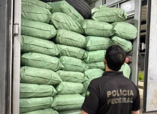 Mais de 500 kg de maconha são apreendidos durante ação da Polícia Federal no Sertão