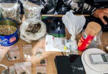 Casal é preso com maconha e equipamentos para cultivo em Campina Grande