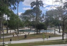 Campina Grande é destaque em arborização urbana, conforme dados divulgados pelo IBGE