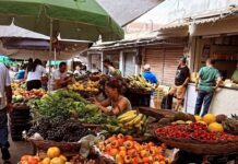 Feira Central e todos os serviços da Sesuma funcionarão normalmente no feriado de 11 de Outubro em Campina Grande