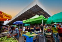 REQUALIFICAÇÃO DA FEIRA CENTRAL: Prefeitura de Campina Grande realiza cadastramento socioeconômico de feirantes