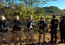 Operação contra grupo investigado por tráfico de drogas e lavagem de dinheiro na Paraíba