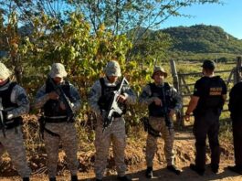 Operação contra grupo investigado por tráfico de drogas e lavagem de dinheiro na Paraíba