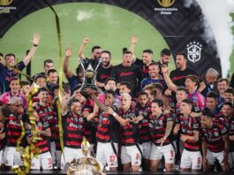 Flamengo derrota Ceará e coroa ano mágico com título Brasileiro