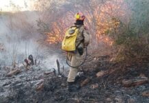 Governo Federal declara emergência por risco de incêndios florestais em quatro regiões da Paraíba