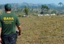 Governo autoriza concurso para o Ibama com 260 vagas