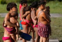 Forças Armadas reforçam ações na Terra Indígena Yanomami