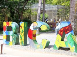 Parque Arruda Câmara estará aberto nesta segunda e terça-feira de Carnaval